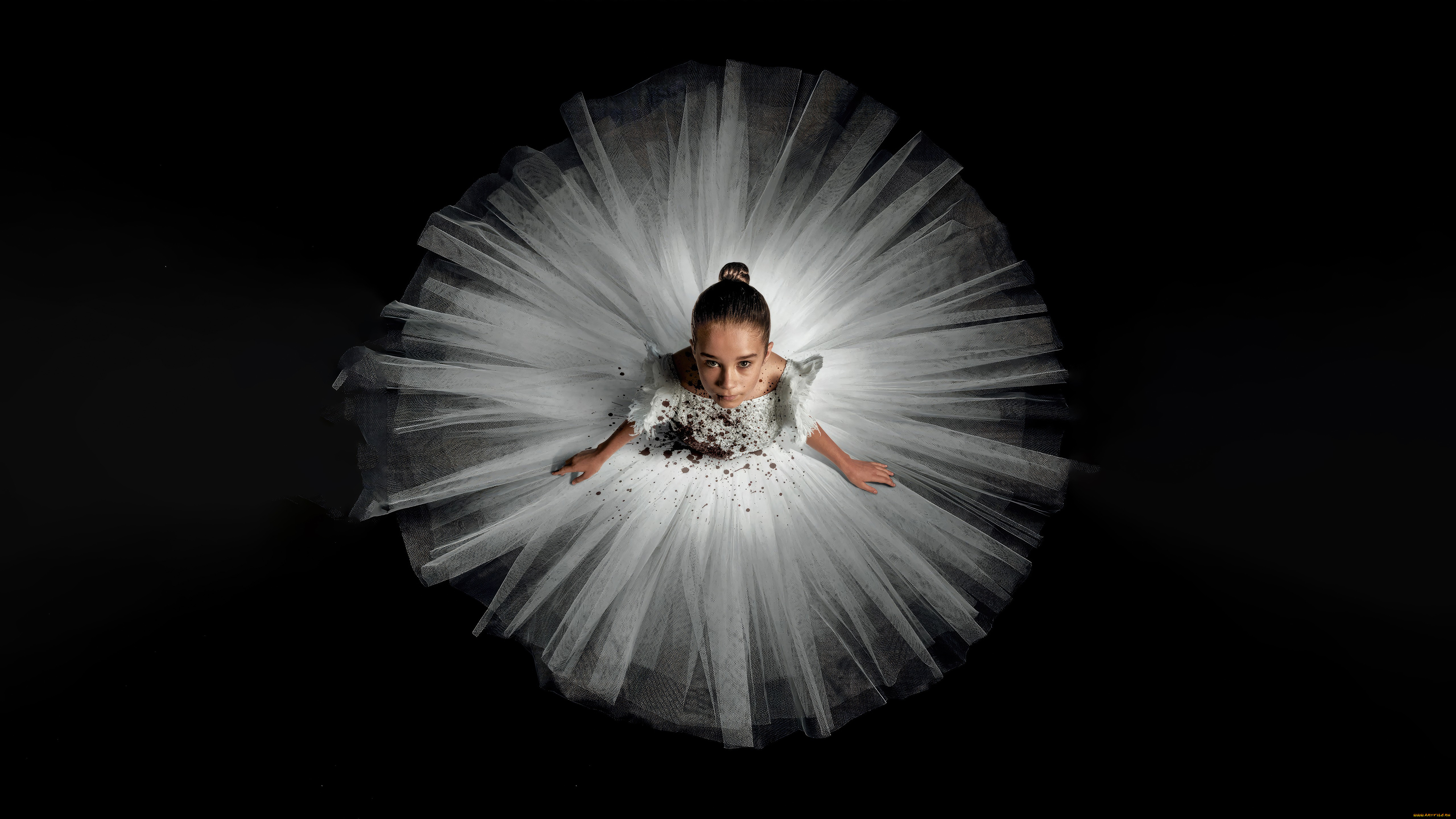 abigail,  , -unknown , 